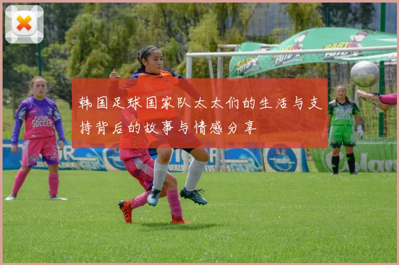 韩国足球国家队太太们的生活与支持背后的故事与情感分享