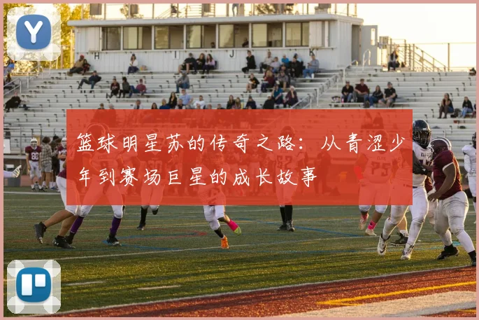篮球明星苏的传奇之路：从青涩少年到赛场巨星的成长故事