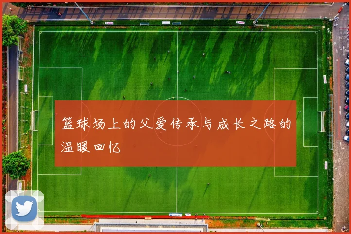 篮球场上的父爱传承与成长之路的温暖回忆